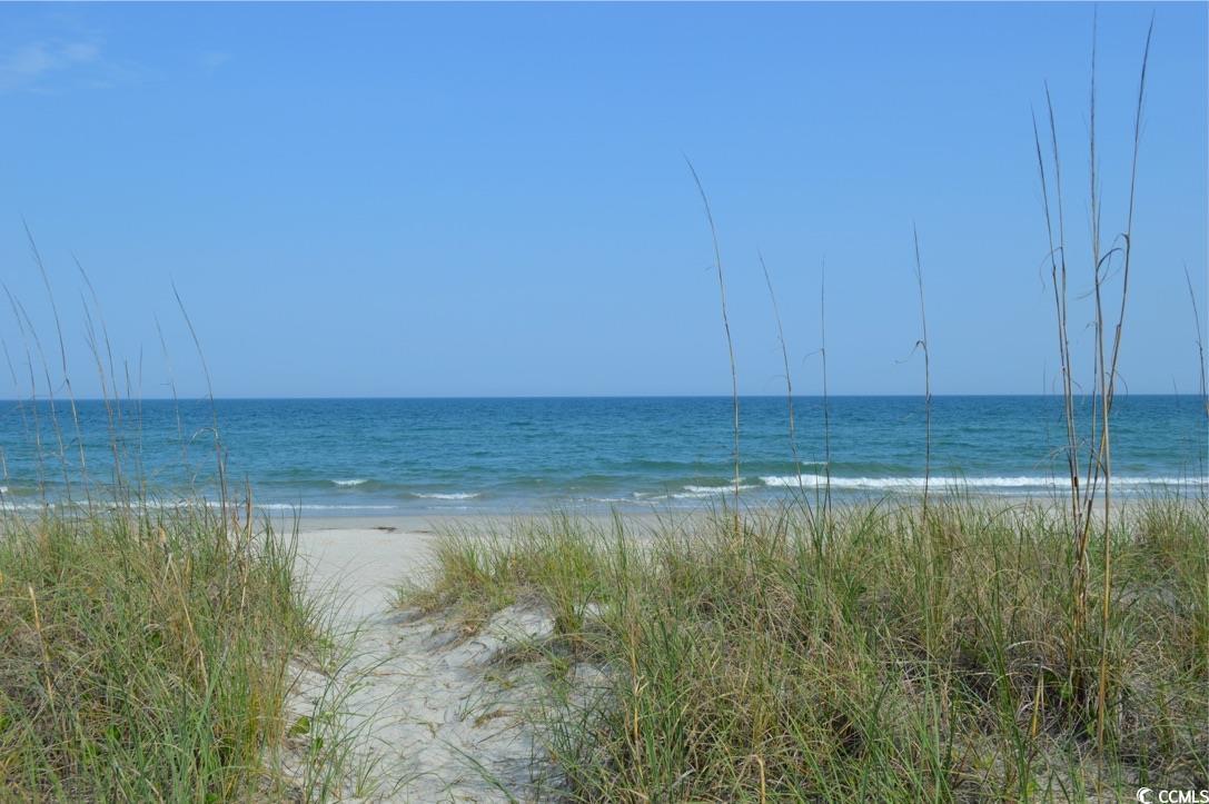 110 Hallandale Lane, Murrells Inlet, South Carolina image 31