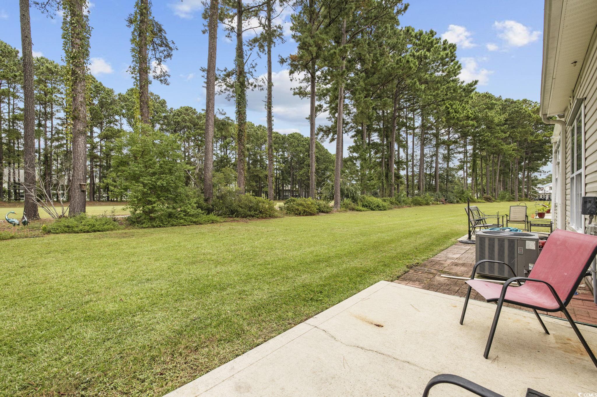 427 Colonial Trace Dr. #UNIT 1E, Longs, South Carolina image 33