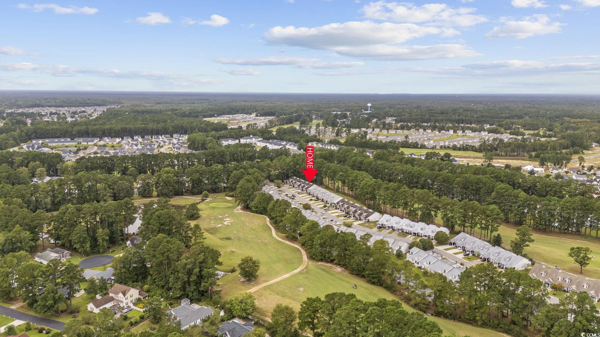 427 Colonial Trace Dr. #UNIT 1E, Longs, South Carolina image 37