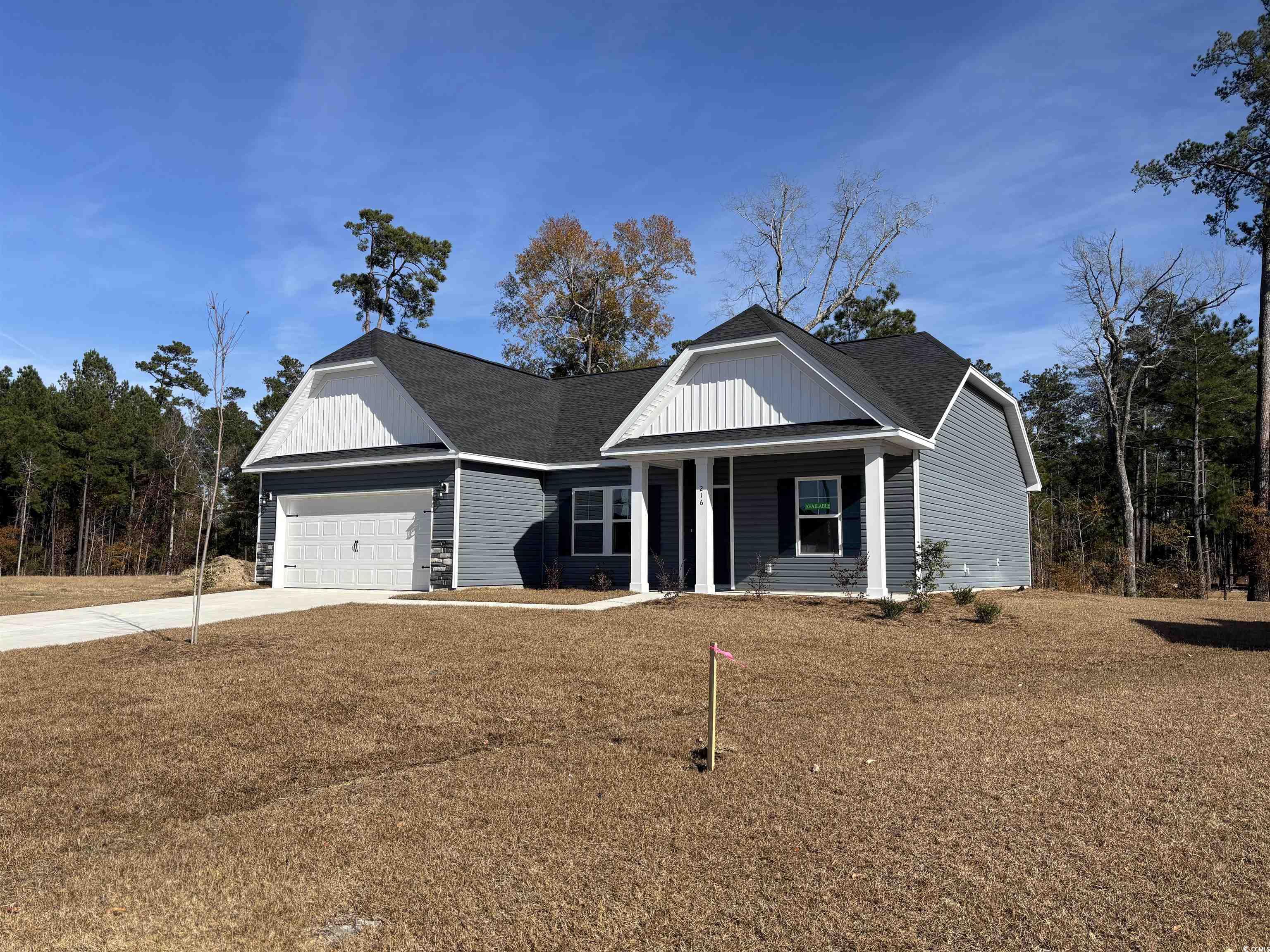 216 Palmetto Sand Loop, Conway, South Carolina image 4