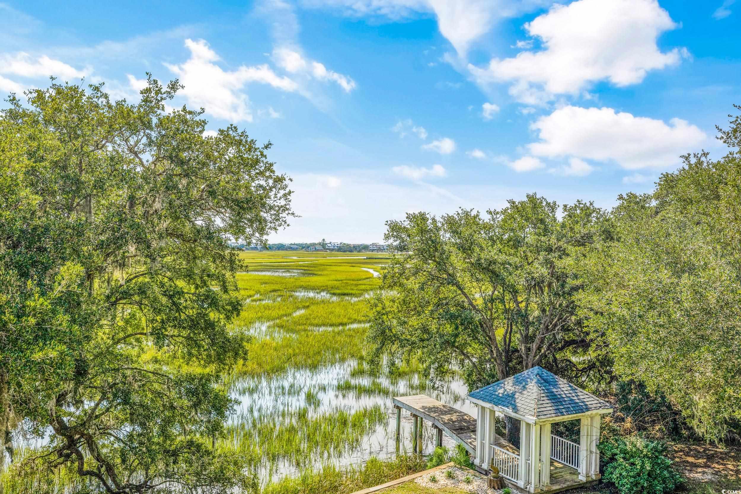 71 Wildberry Way, Pawleys Island, South Carolina image 36