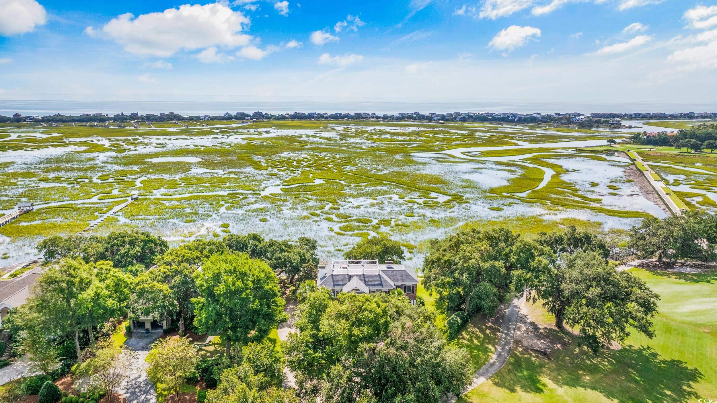 71 Wildberry Way, Pawleys Island, South Carolina image 40