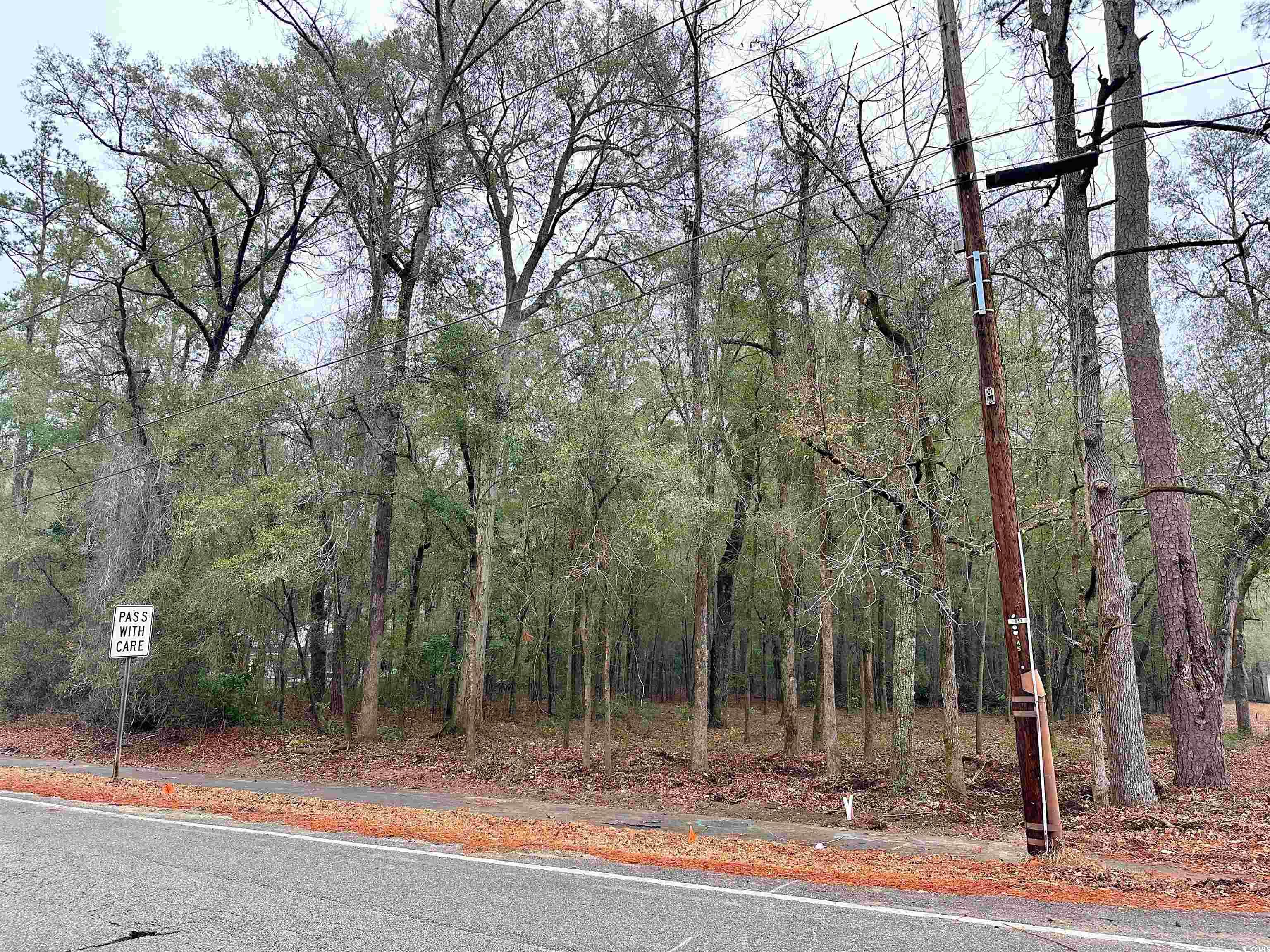 TBD N Main St., Nichols, South Carolina image 1