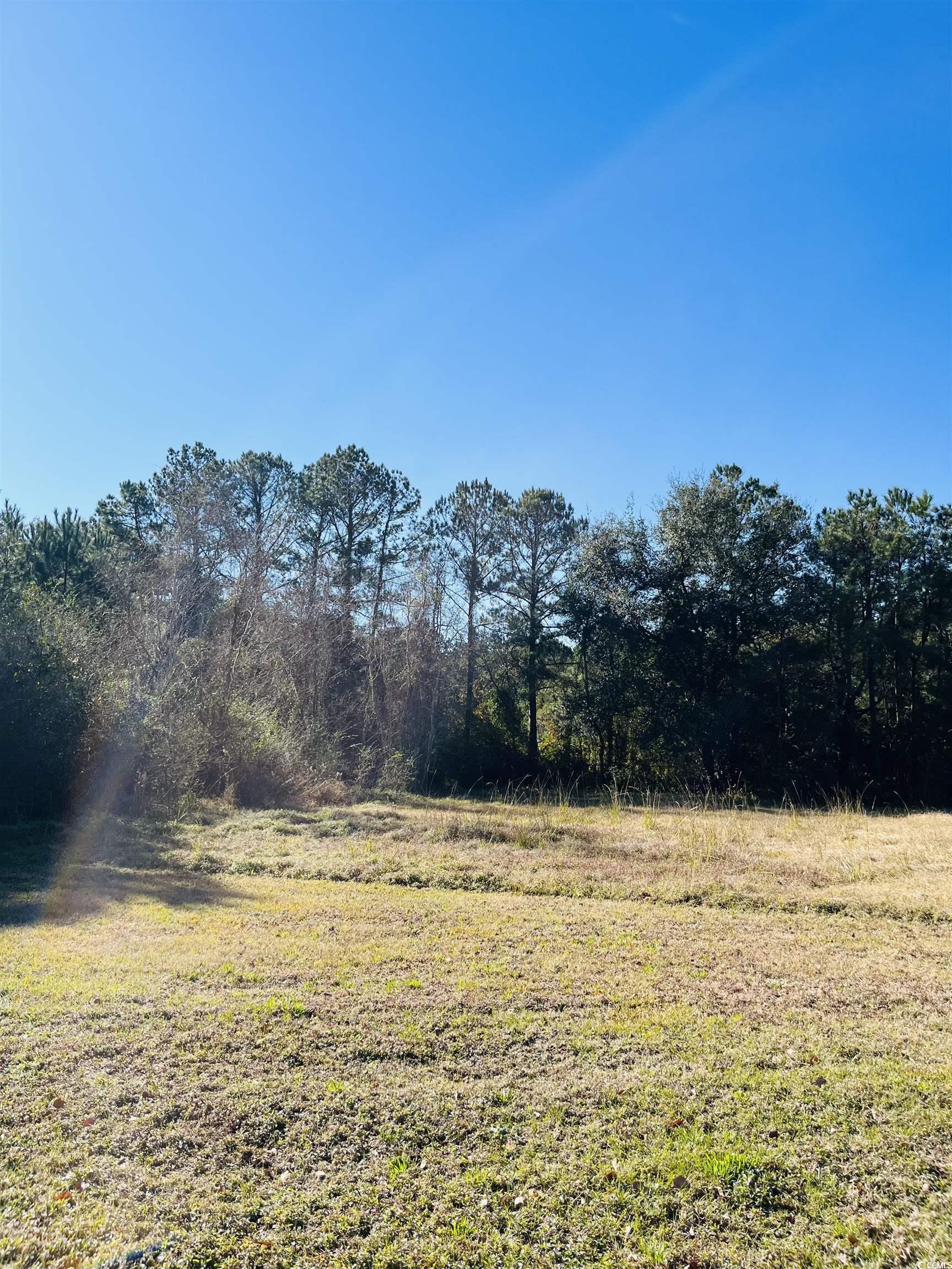 Lot 31 Oak Bay Dr., Georgetown, South Carolina image 1