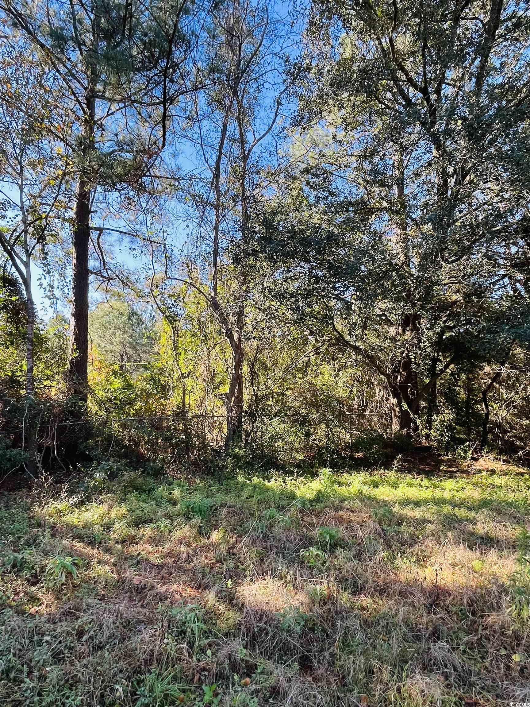 Lot 31 Oak Bay Dr., Georgetown, South Carolina image 10