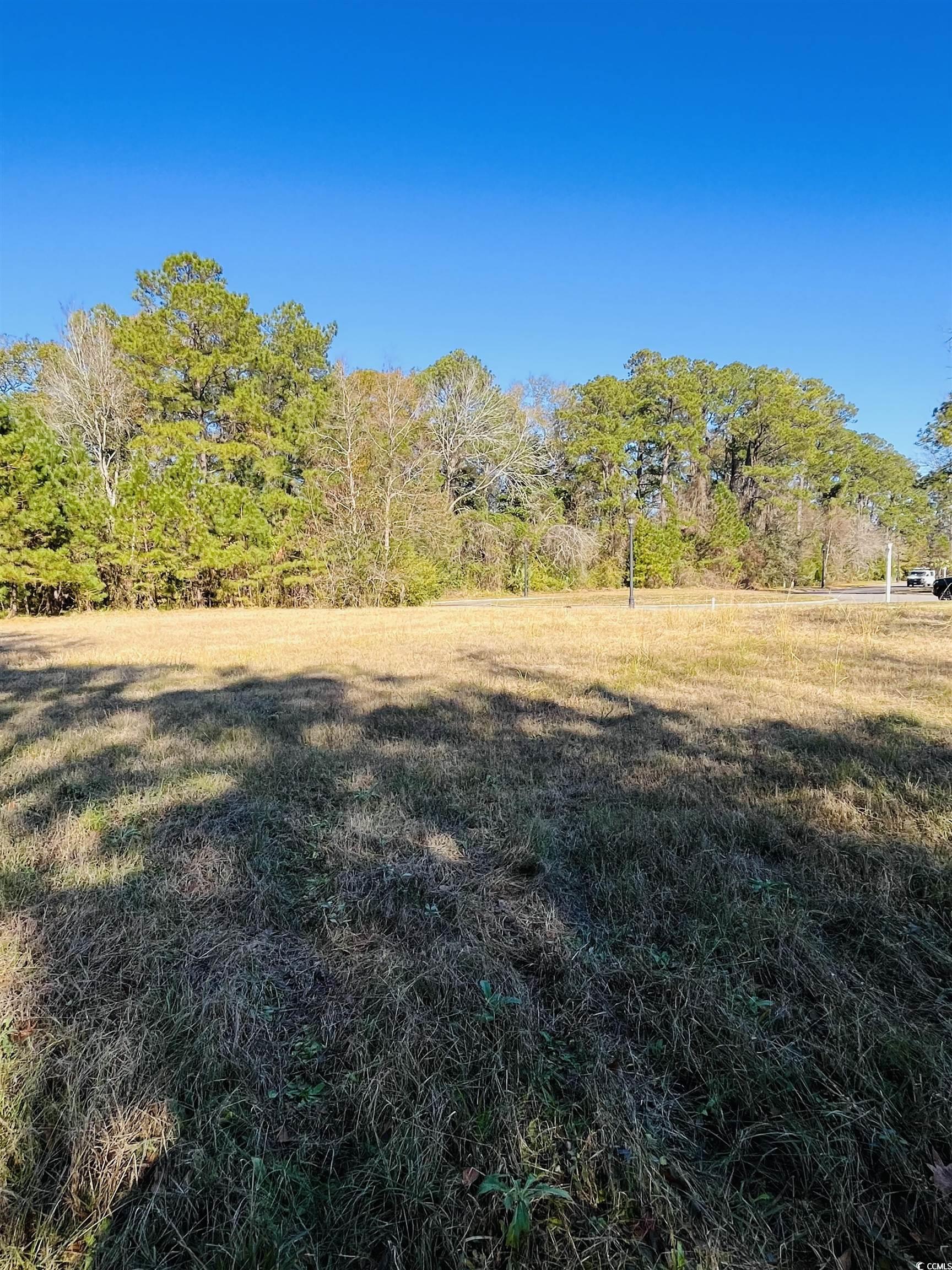 Lot 31 Oak Bay Dr., Georgetown, South Carolina image 11