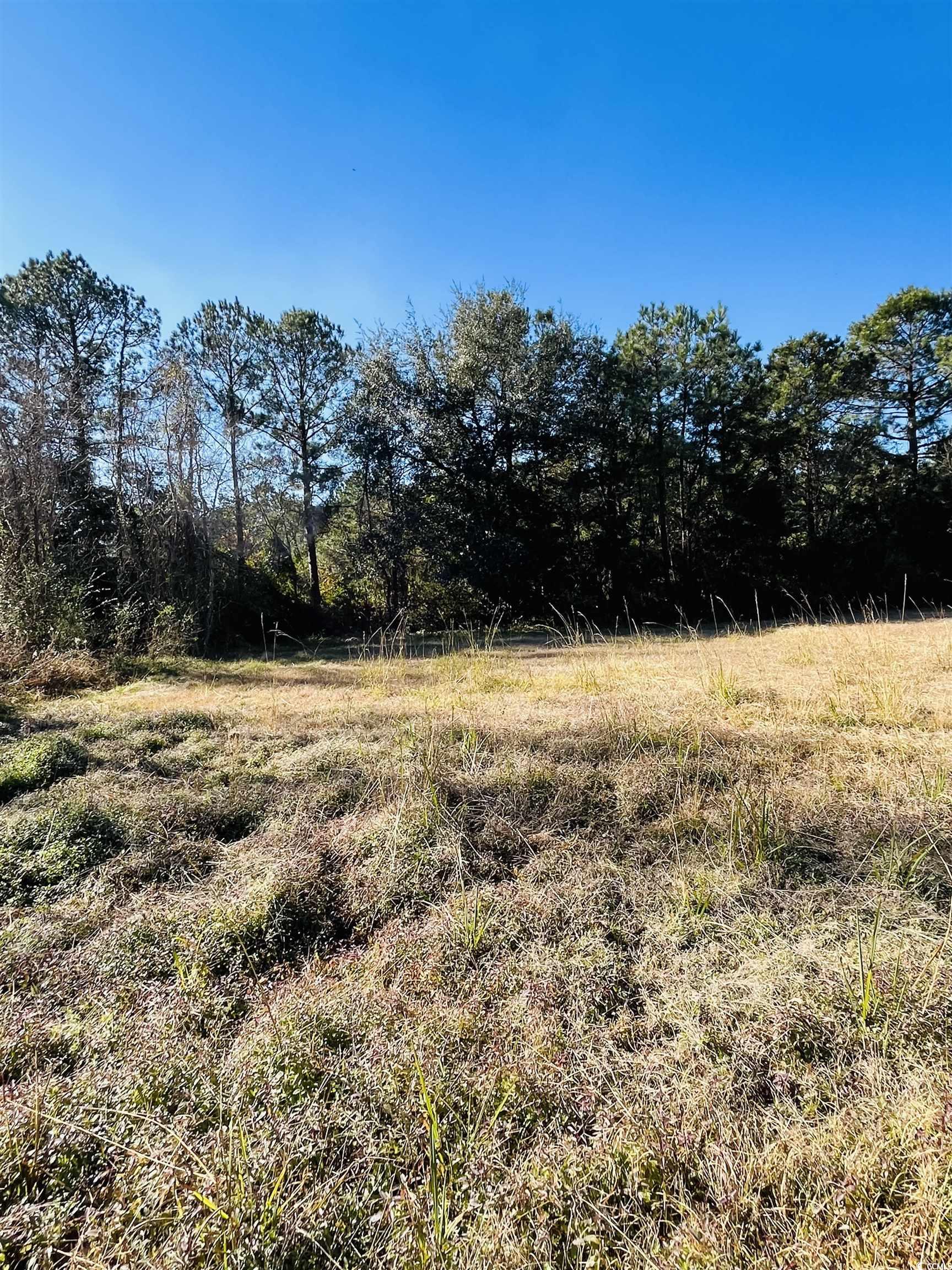 Lot 31 Oak Bay Dr., Georgetown, South Carolina image 12