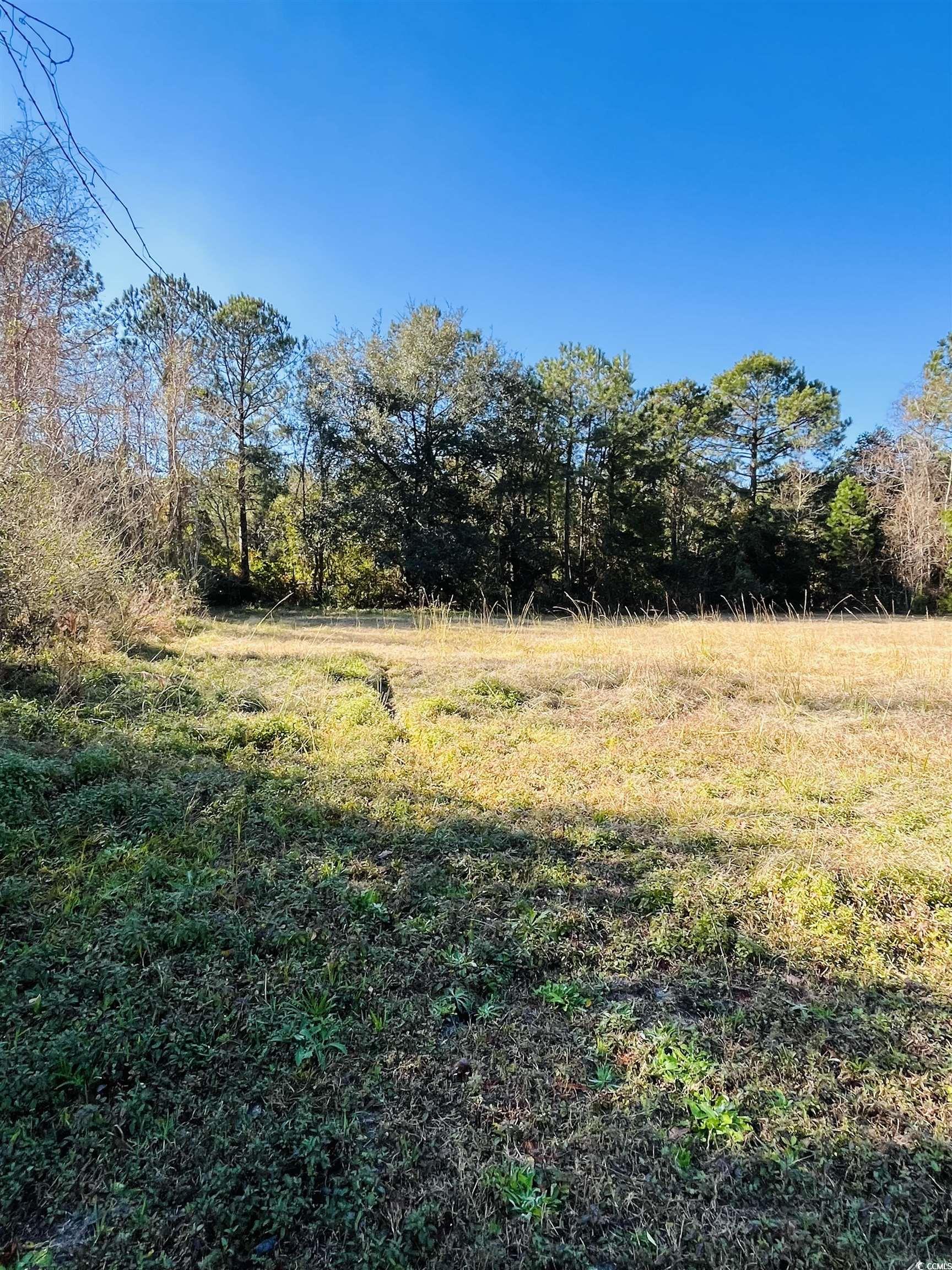 Lot 31 Oak Bay Dr., Georgetown, South Carolina image 13