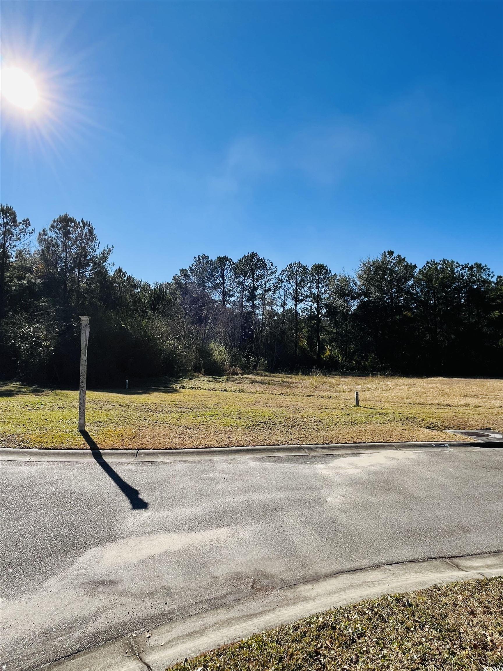 Lot 31 Oak Bay Dr., Georgetown, South Carolina image 2