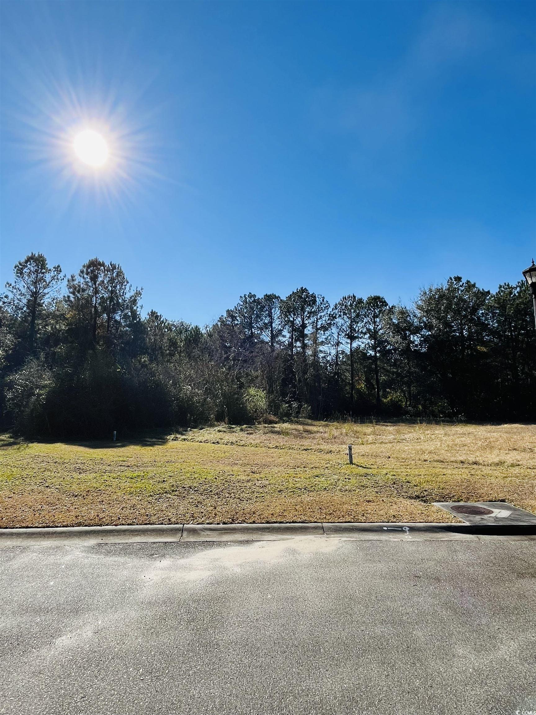 Lot 31 Oak Bay Dr., Georgetown, South Carolina image 3