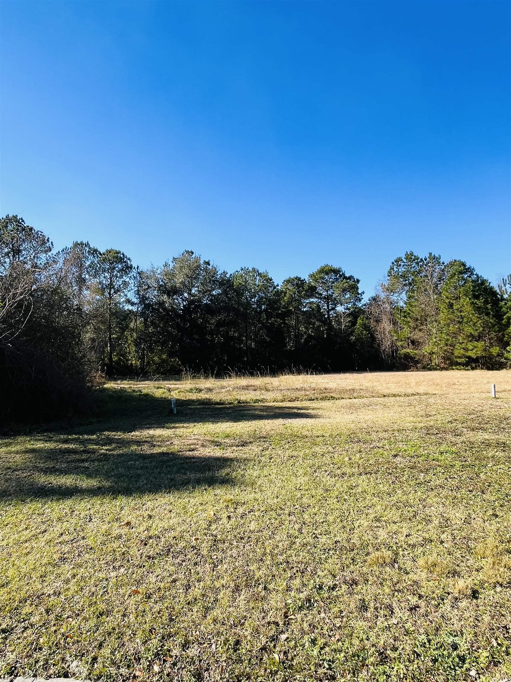 Lot 31 Oak Bay Dr., Georgetown, South Carolina image 4