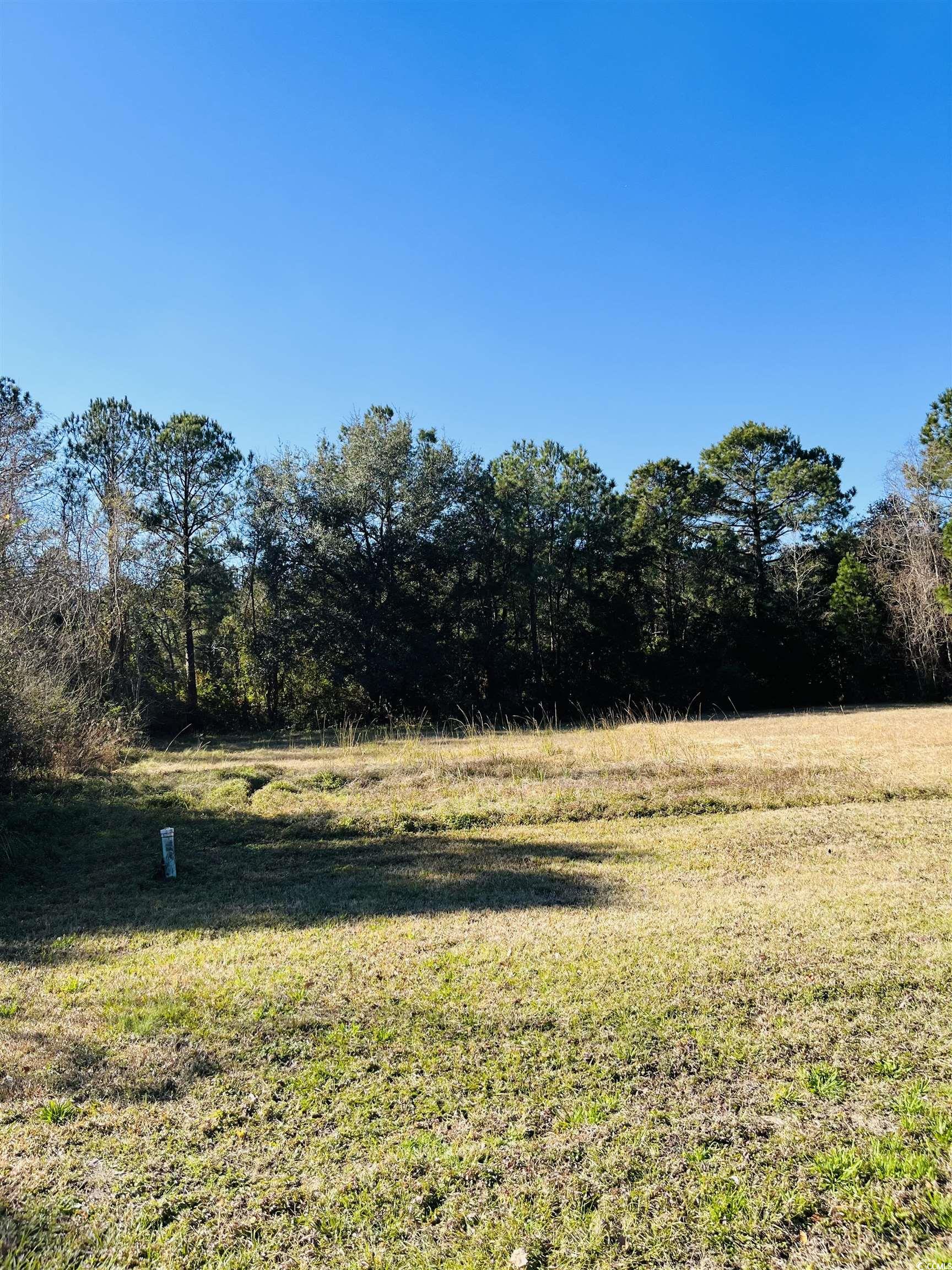 Lot 31 Oak Bay Dr., Georgetown, South Carolina image 5