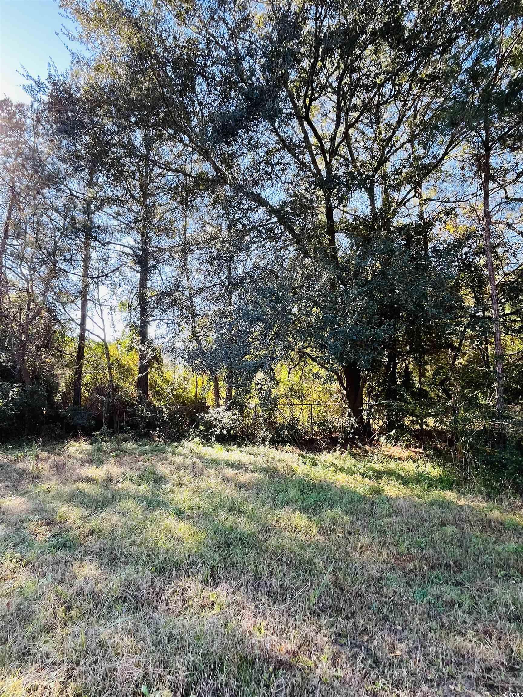 Lot 31 Oak Bay Dr., Georgetown, South Carolina image 7