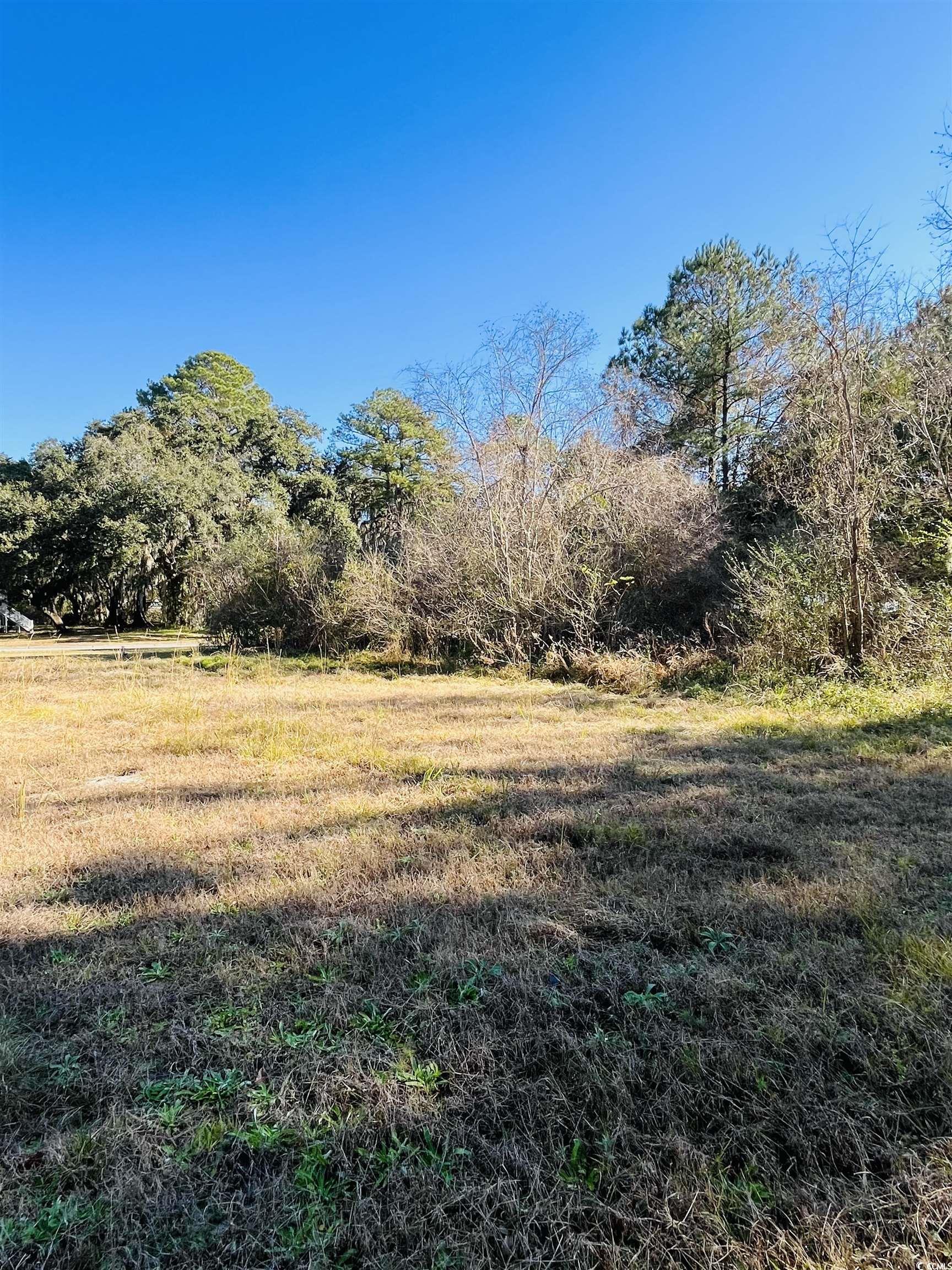 Lot 31 Oak Bay Dr., Georgetown, South Carolina image 8