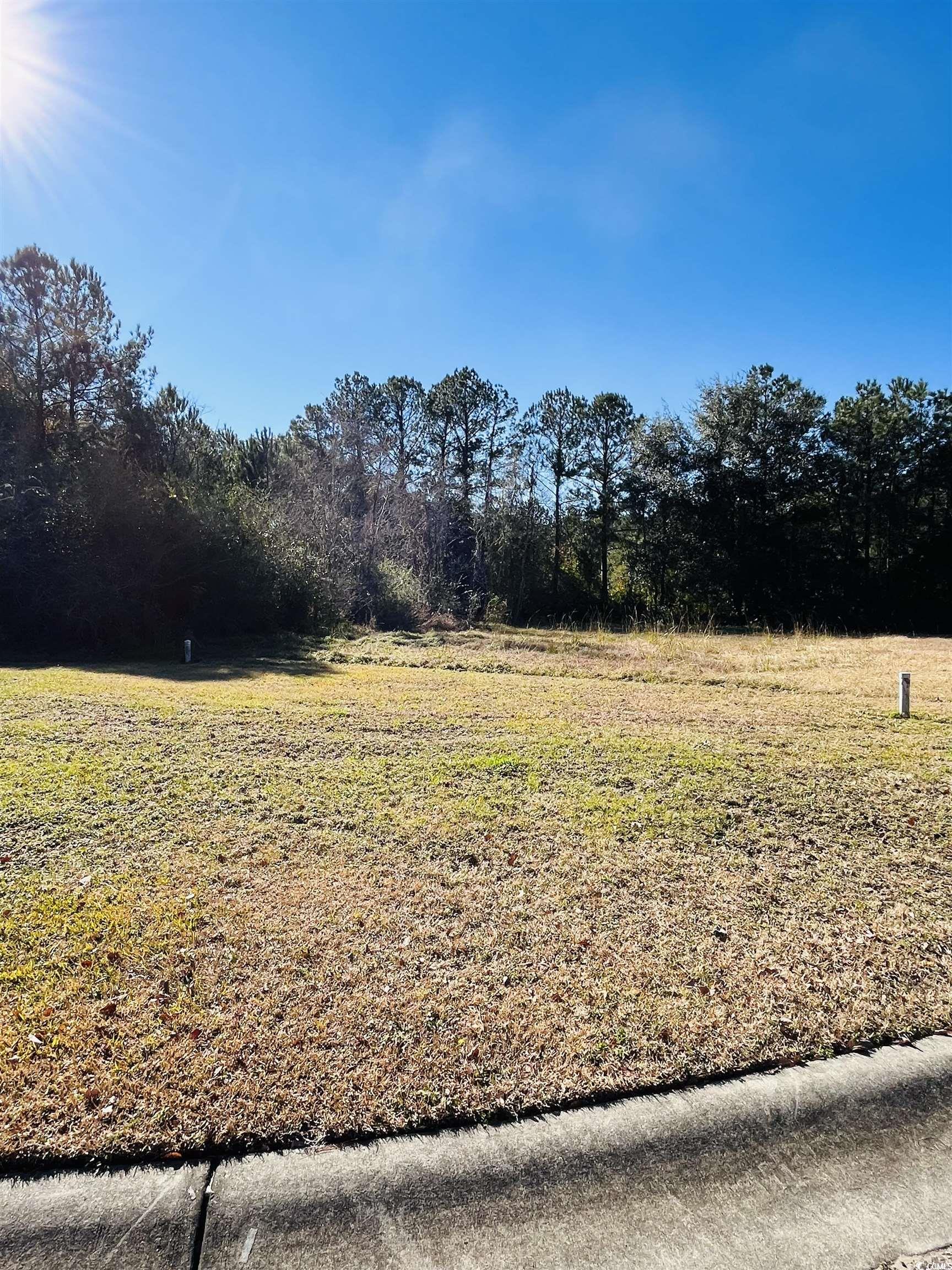 Lot 31 Oak Bay Dr., Georgetown, South Carolina image 9