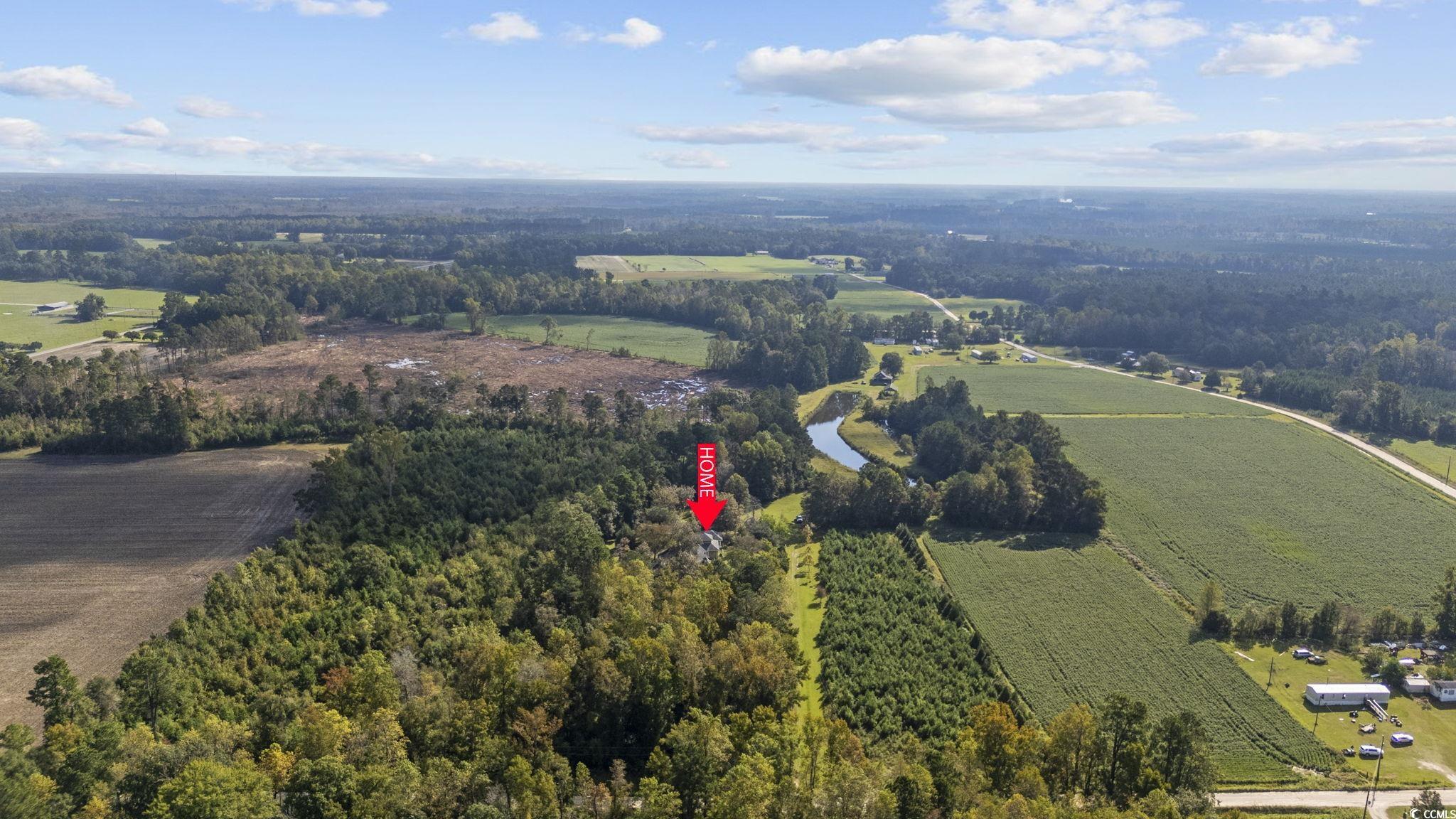4605 Hickory Holt Rd., Galivants Ferry, South Carolina image 28