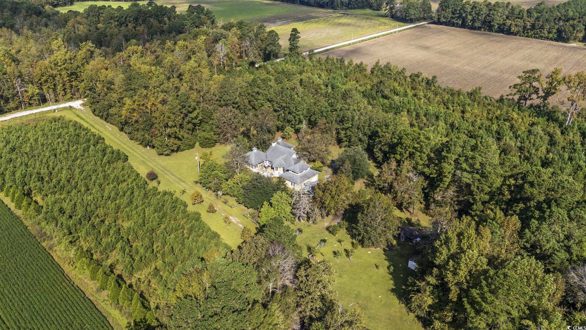 4605 Hickory Holt Rd., Galivants Ferry, South Carolina image 29