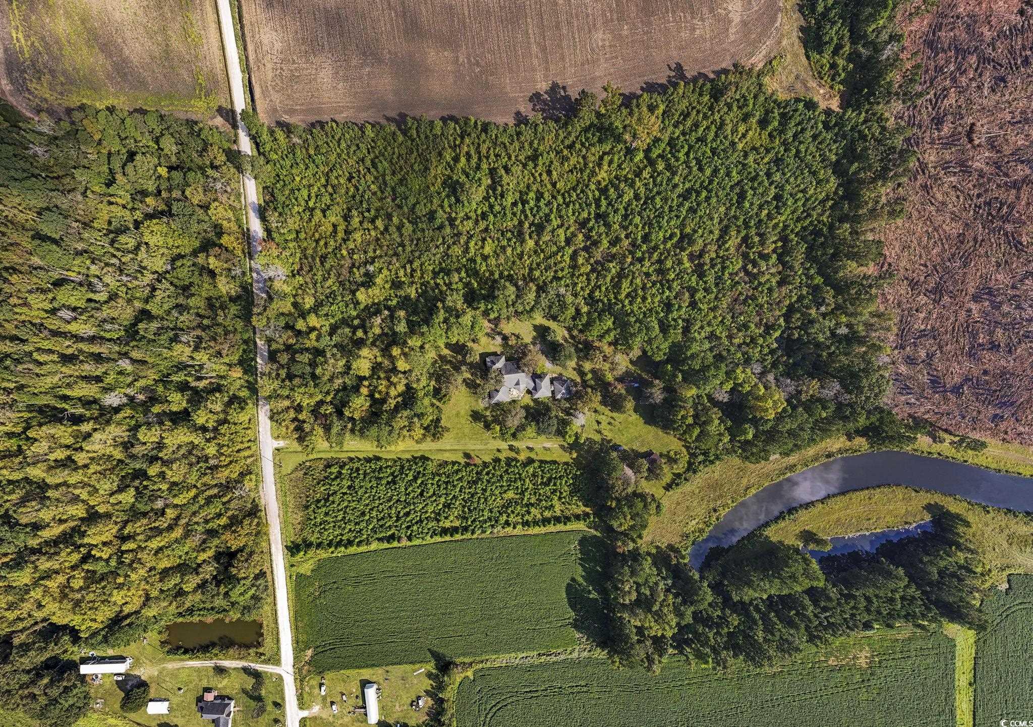 4605 Hickory Holt Rd., Galivants Ferry, South Carolina image 30