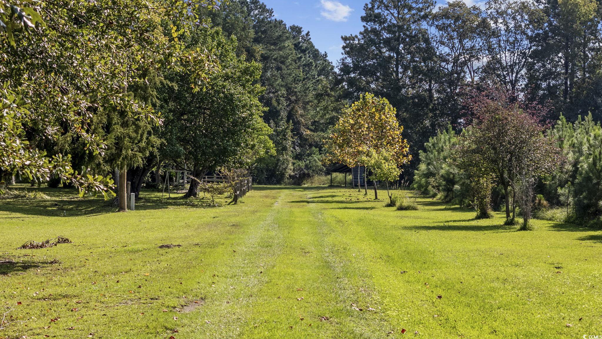 4605 Hickory Holt Rd., Galivants Ferry, South Carolina image 31