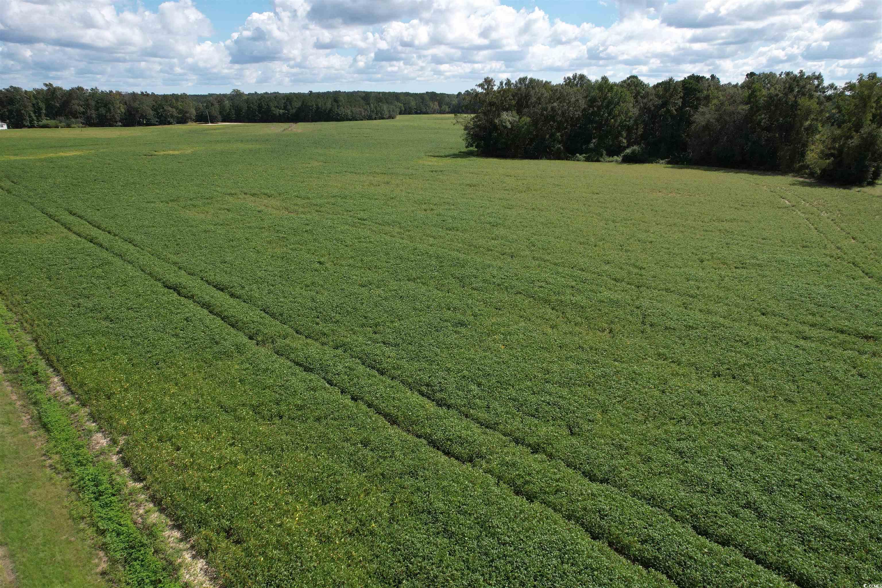 TBD Cantley Landing Rd. Andrews, SC 29510