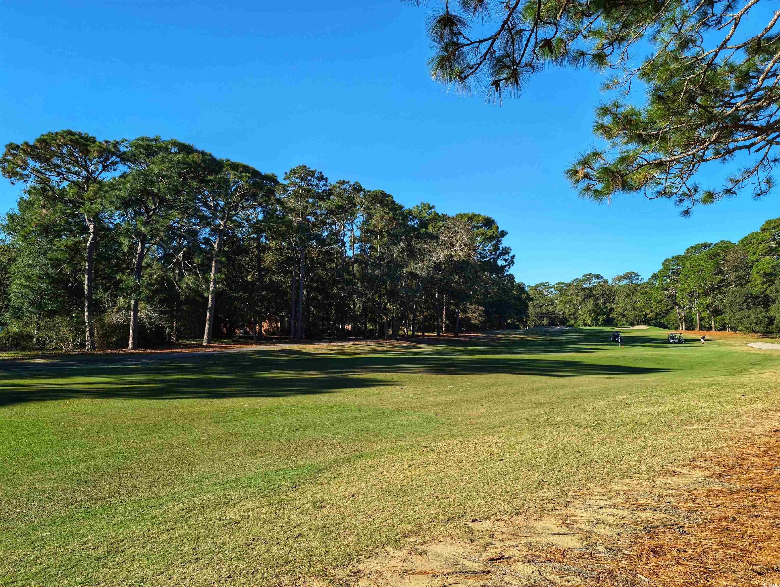 202 Snowbell Ln., Pawleys Island, South Carolina image 40