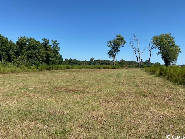 Lot 44 TBD Southern Dr., Latta, South Carolina image 1