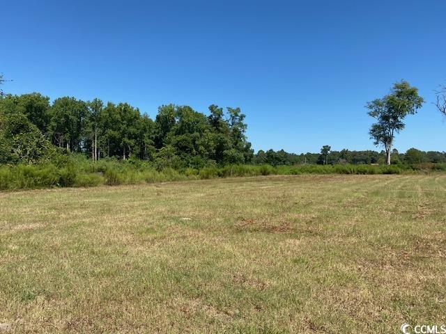 Lot 44 TBD Southern Dr., Latta, South Carolina image 2