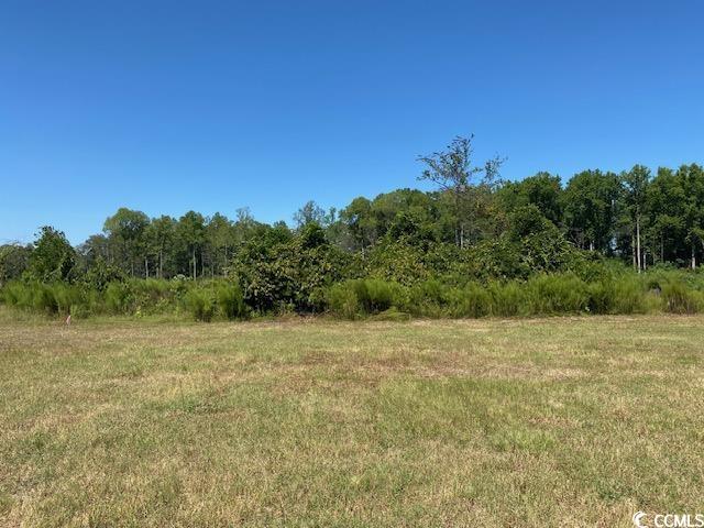 Lot 44 TBD Southern Dr., Latta, South Carolina image 4