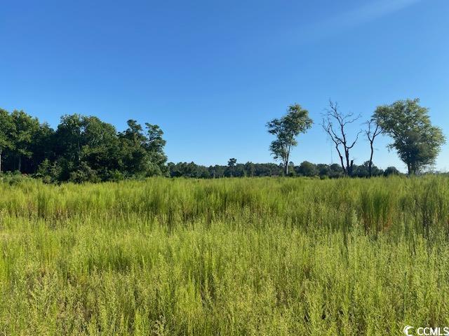 Lot 44 TBD Southern Dr., Latta, South Carolina image 6