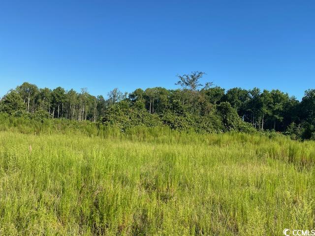 Lot 44 TBD Southern Dr., Latta, South Carolina image 7