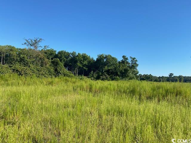 Lot 44 TBD Southern Dr., Latta, South Carolina image 8