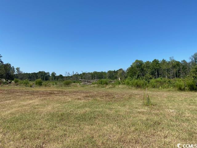 Lot 43 TBD Southern Dr., Latta, South Carolina image 1