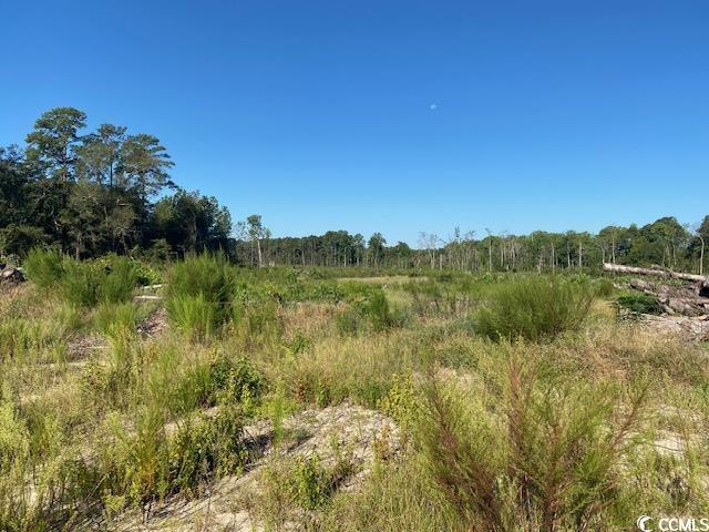 Lot 43 TBD Southern Dr., Latta, South Carolina image 10