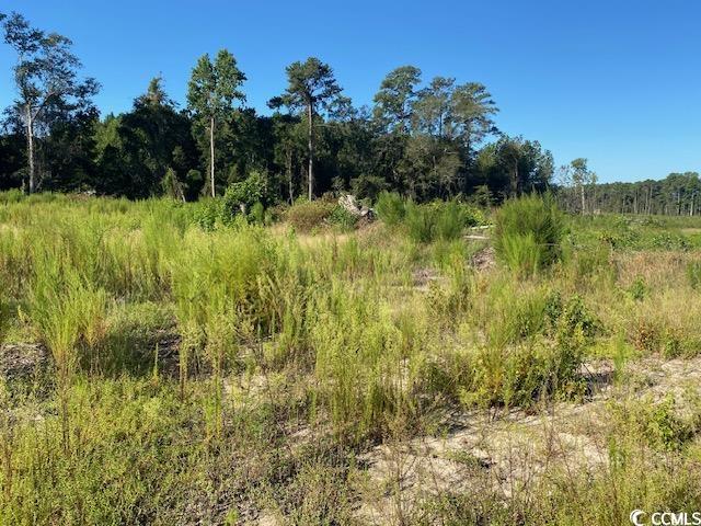 Lot 43 TBD Southern Dr., Latta, South Carolina image 11