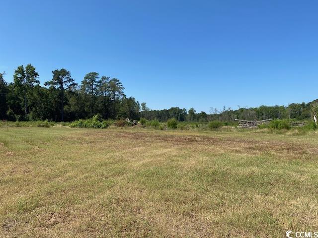 Lot 43 TBD Southern Dr., Latta, South Carolina image 2