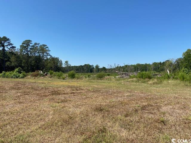 Lot 43 TBD Southern Dr., Latta, South Carolina image 4