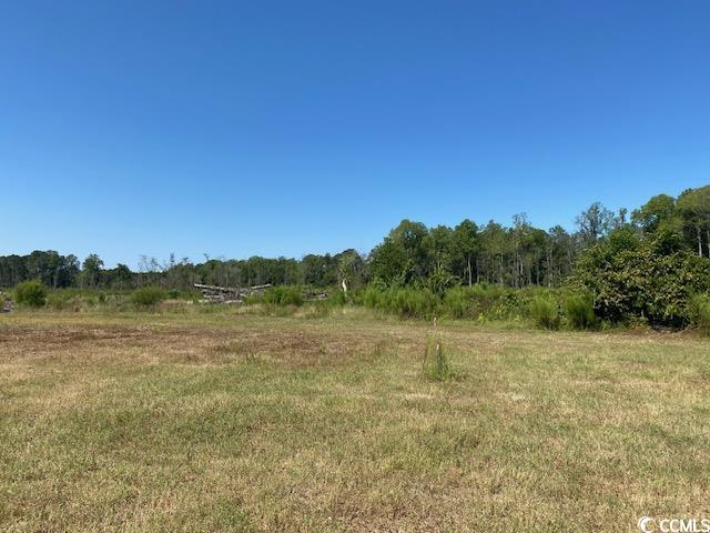 Lot 43 TBD Southern Dr., Latta, South Carolina image 5