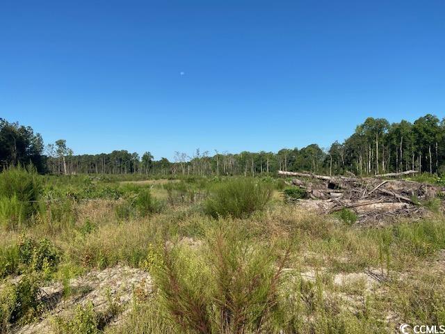 Lot 43 TBD Southern Dr., Latta, South Carolina image 7