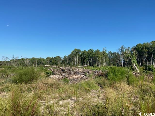 Lot 43 TBD Southern Dr., Latta, South Carolina image 9