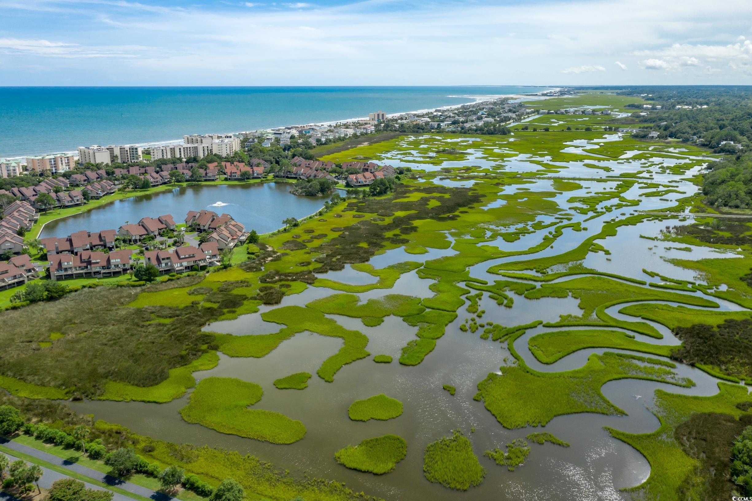 54 Spartina Ct. #10, Pawleys Island, South Carolina image 34