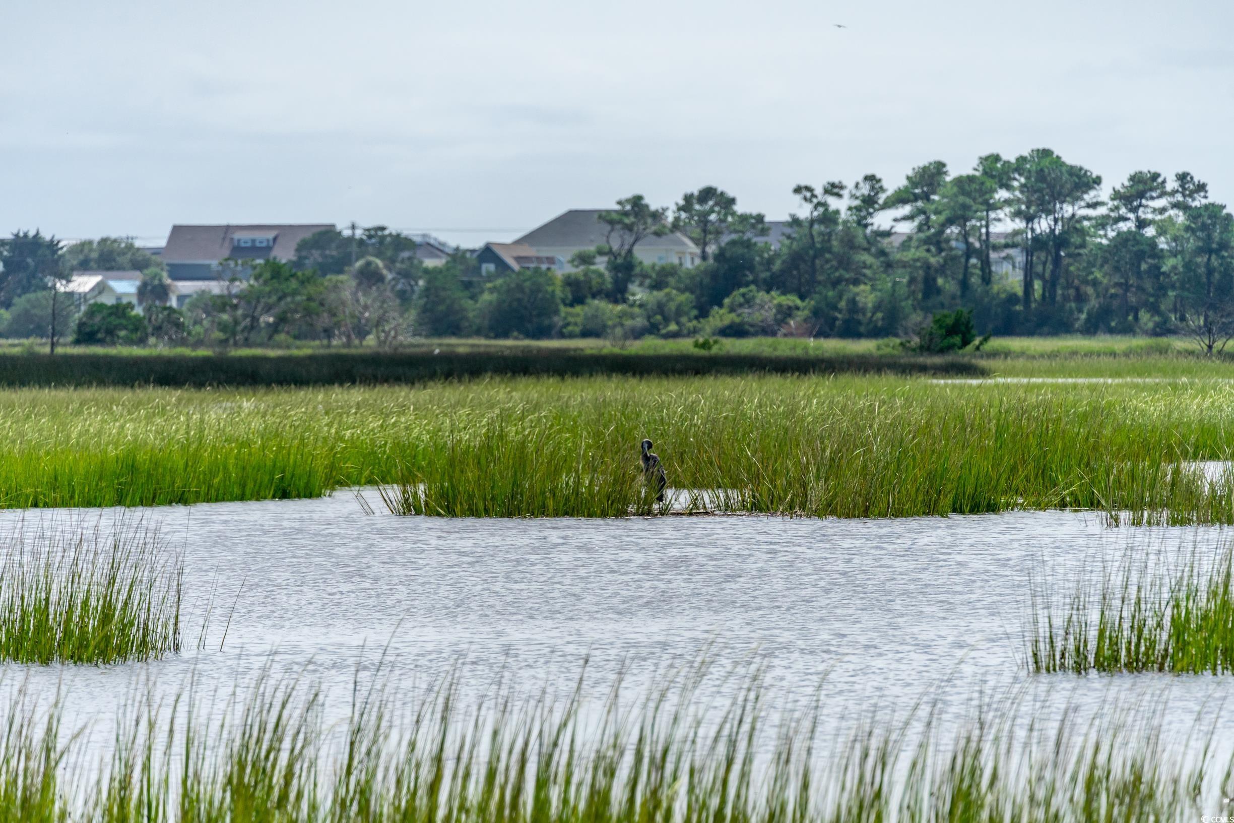 54 Spartina Ct. #10, Pawleys Island, South Carolina image 38