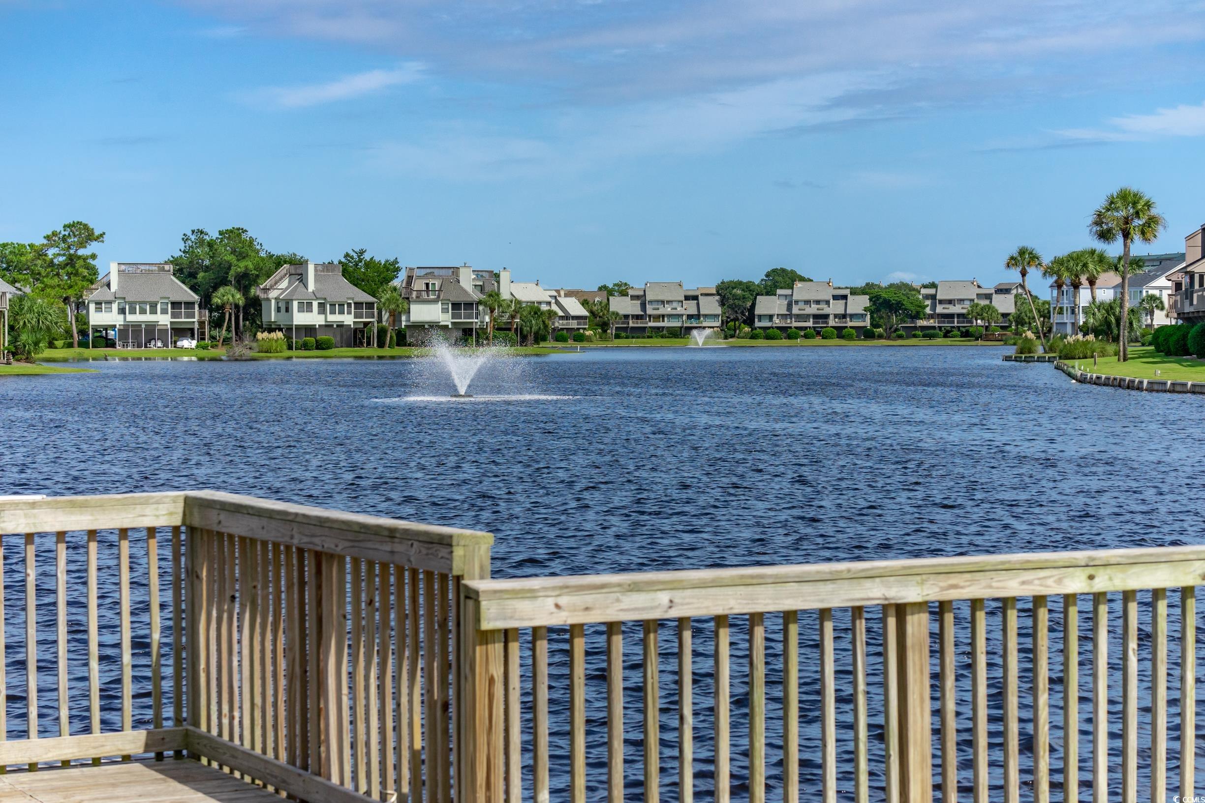 54 Spartina Ct. #10, Pawleys Island, South Carolina image 39