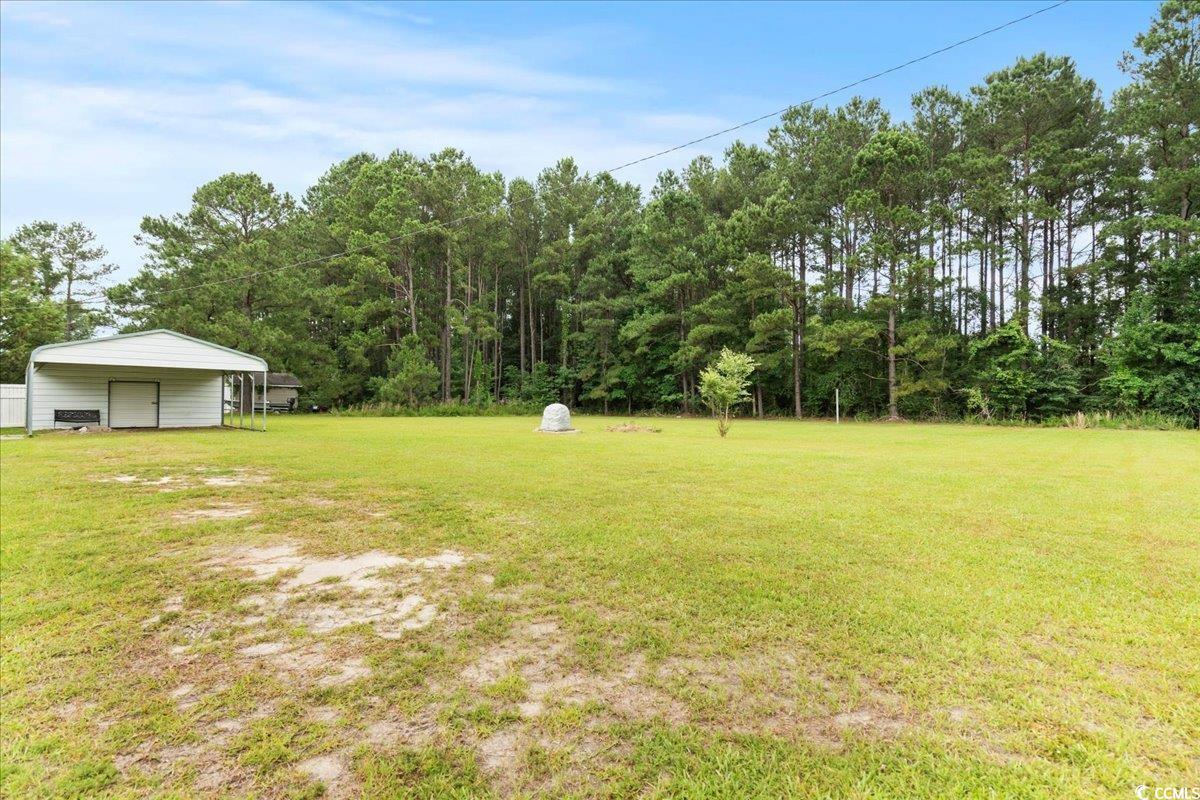 404 Jessamine Rd, Marion, South Carolina image 11