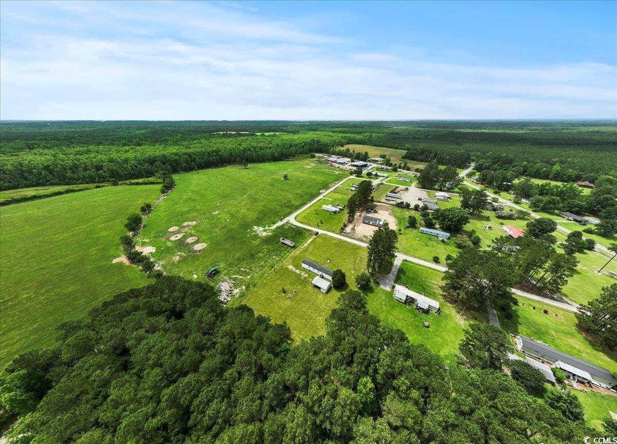 404 Jessamine Rd, Marion, South Carolina image 12