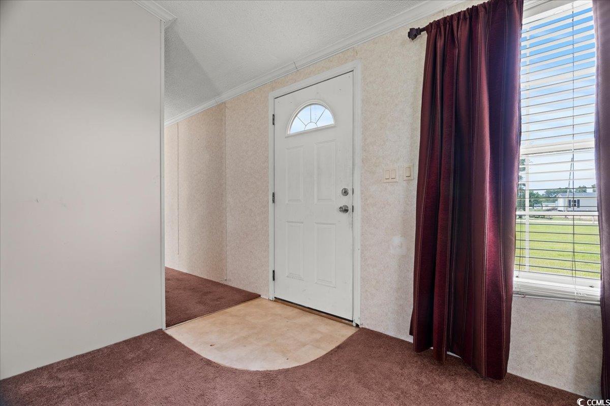 404 Jessamine Rd, Marion, South Carolina image 13