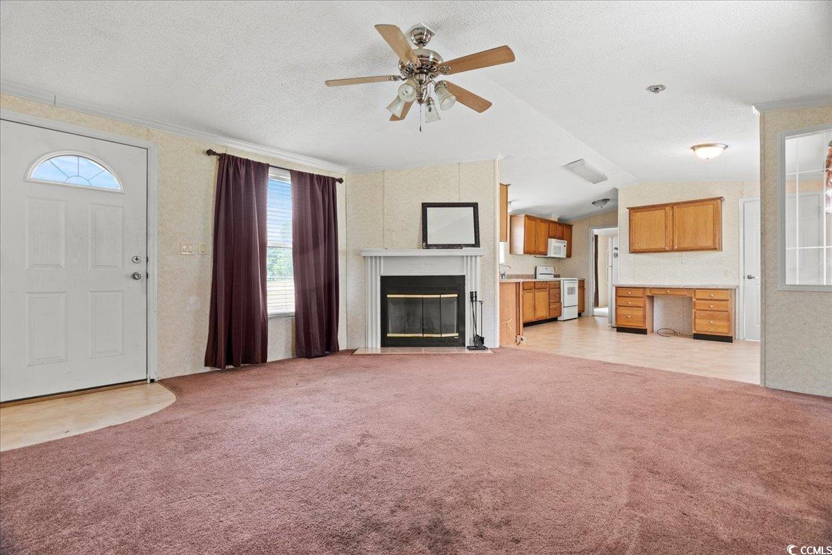 404 Jessamine Rd, Marion, South Carolina image 15
