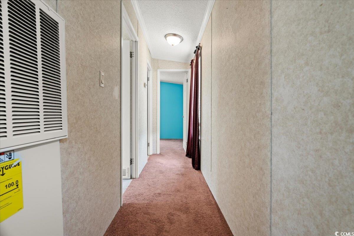 404 Jessamine Rd, Marion, South Carolina image 16
