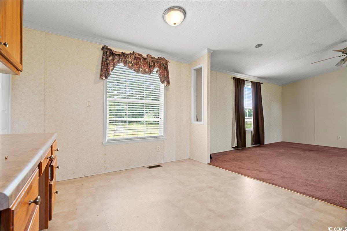 404 Jessamine Rd, Marion, South Carolina image 21