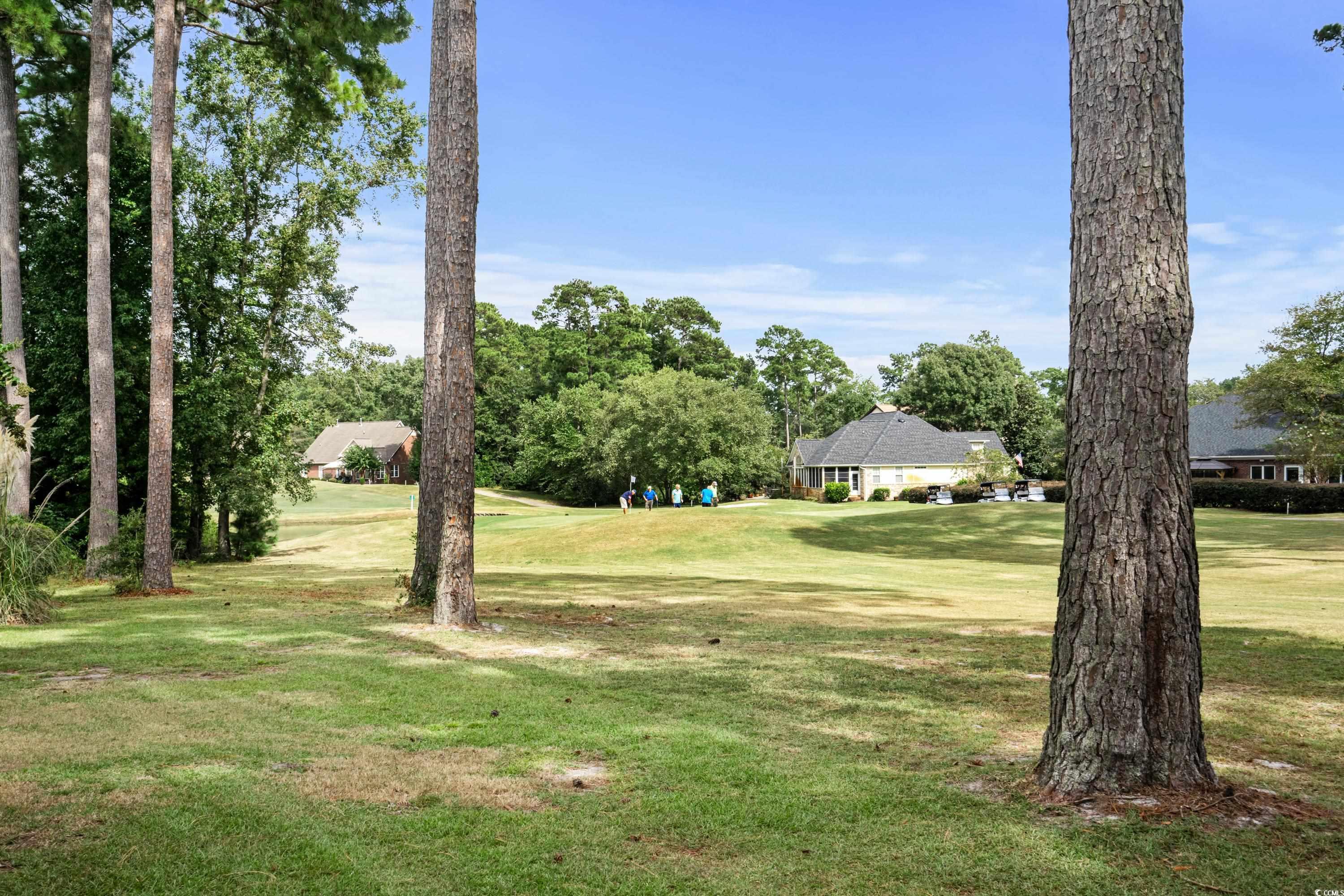 3264 Hermitage Dr., Little River, South Carolina image 33