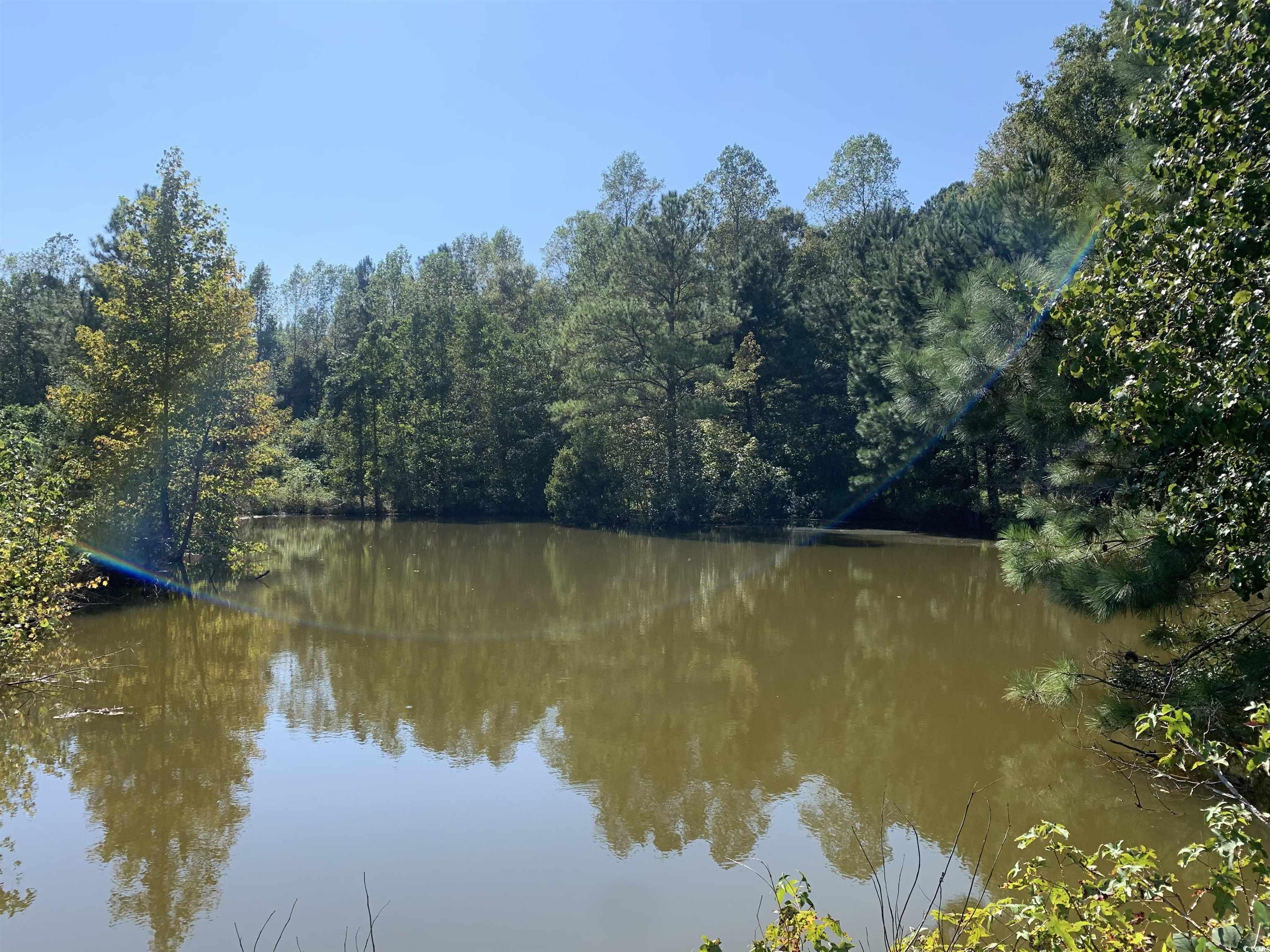 244 Bitmore Dr, Whiteville, North Carolina image 10